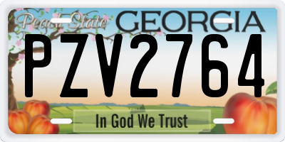 GA license plate PZV2764