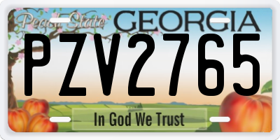 GA license plate PZV2765