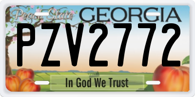 GA license plate PZV2772