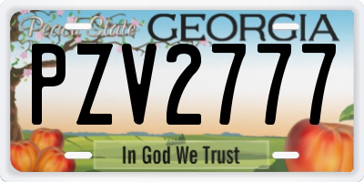 GA license plate PZV2777