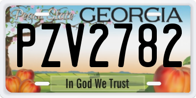 GA license plate PZV2782