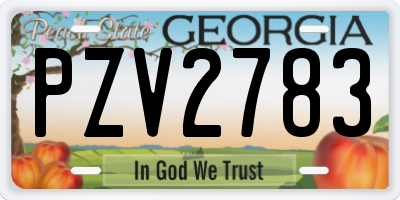 GA license plate PZV2783