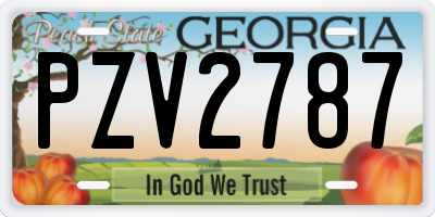 GA license plate PZV2787
