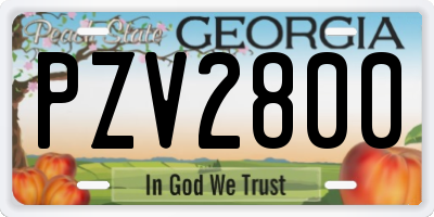 GA license plate PZV2800