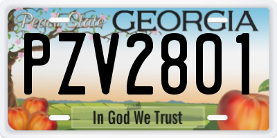 GA license plate PZV2801