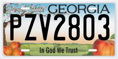 GA license plate PZV2803