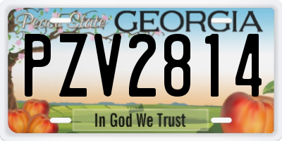 GA license plate PZV2814