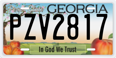 GA license plate PZV2817