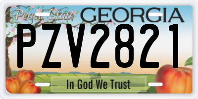 GA license plate PZV2821