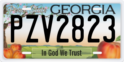 GA license plate PZV2823