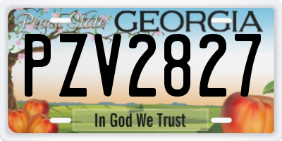 GA license plate PZV2827