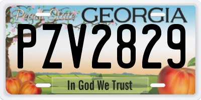 GA license plate PZV2829