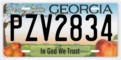 GA license plate PZV2834