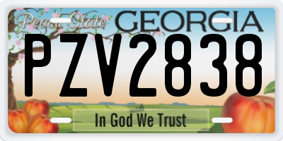 GA license plate PZV2838