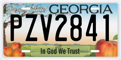GA license plate PZV2841