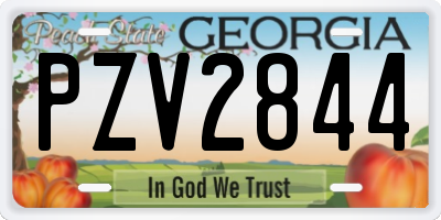 GA license plate PZV2844