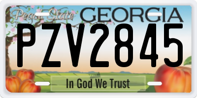 GA license plate PZV2845