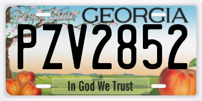 GA license plate PZV2852