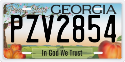 GA license plate PZV2854