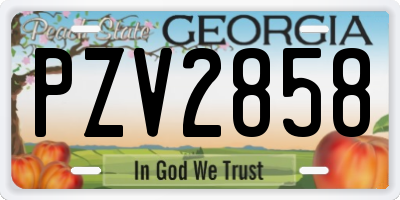 GA license plate PZV2858