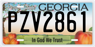 GA license plate PZV2861