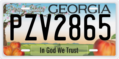 GA license plate PZV2865