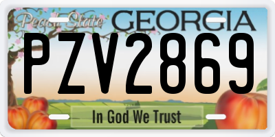 GA license plate PZV2869