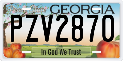 GA license plate PZV2870