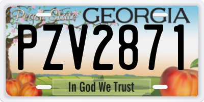 GA license plate PZV2871