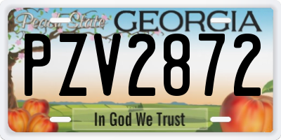 GA license plate PZV2872