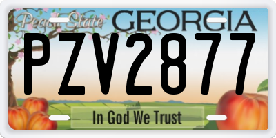 GA license plate PZV2877