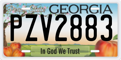 GA license plate PZV2883