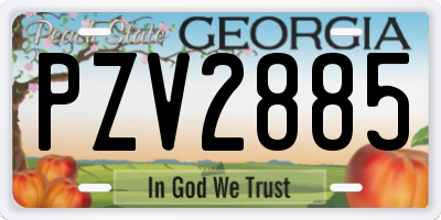 GA license plate PZV2885