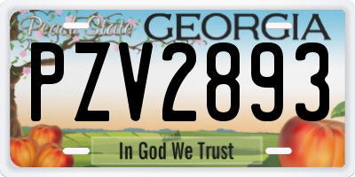 GA license plate PZV2893