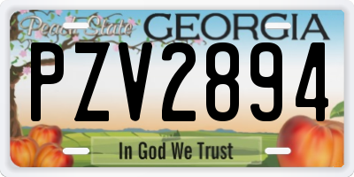 GA license plate PZV2894