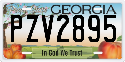 GA license plate PZV2895