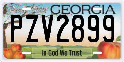 GA license plate PZV2899