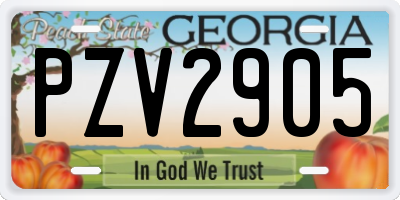 GA license plate PZV2905