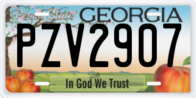 GA license plate PZV2907