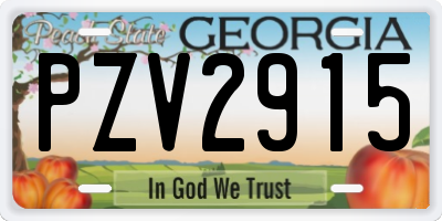 GA license plate PZV2915