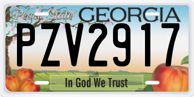 GA license plate PZV2917