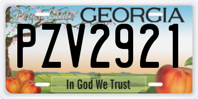 GA license plate PZV2921
