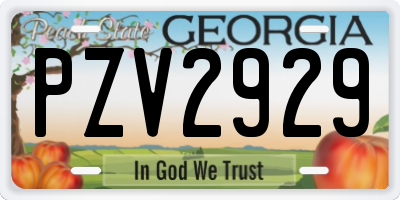 GA license plate PZV2929