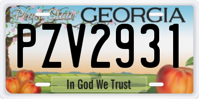 GA license plate PZV2931
