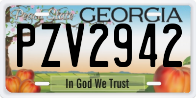 GA license plate PZV2942