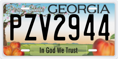 GA license plate PZV2944