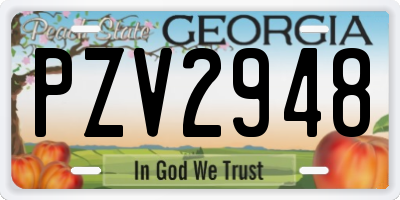 GA license plate PZV2948