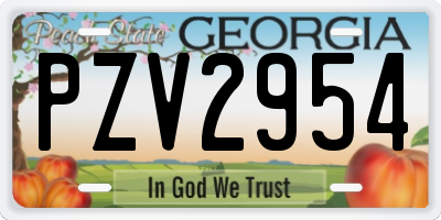 GA license plate PZV2954