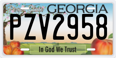 GA license plate PZV2958
