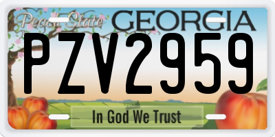 GA license plate PZV2959